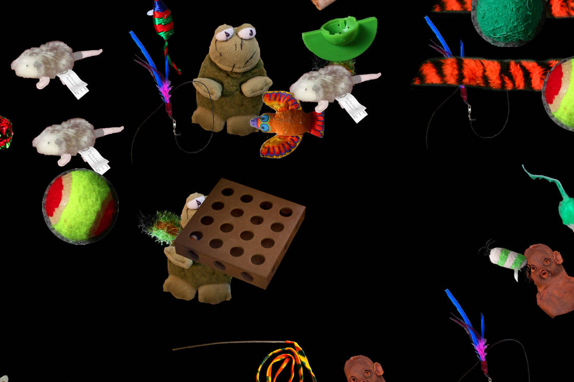 Make Catopia Real Spaces Cleveland Oh spaces cleveland oh